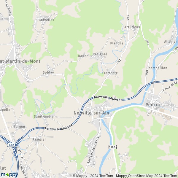 La carte pour la ville de Neuville-sur-Ain 01160